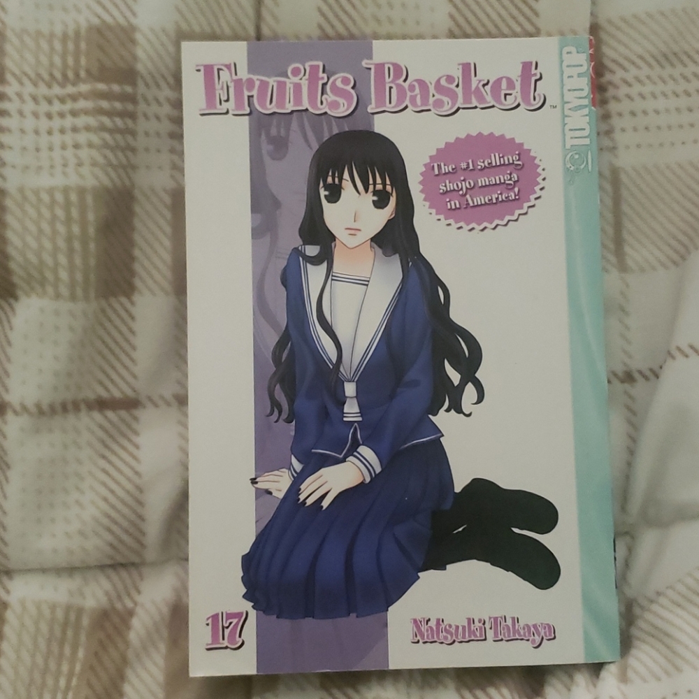 🍙Fruits Basket🍙V.17 manga